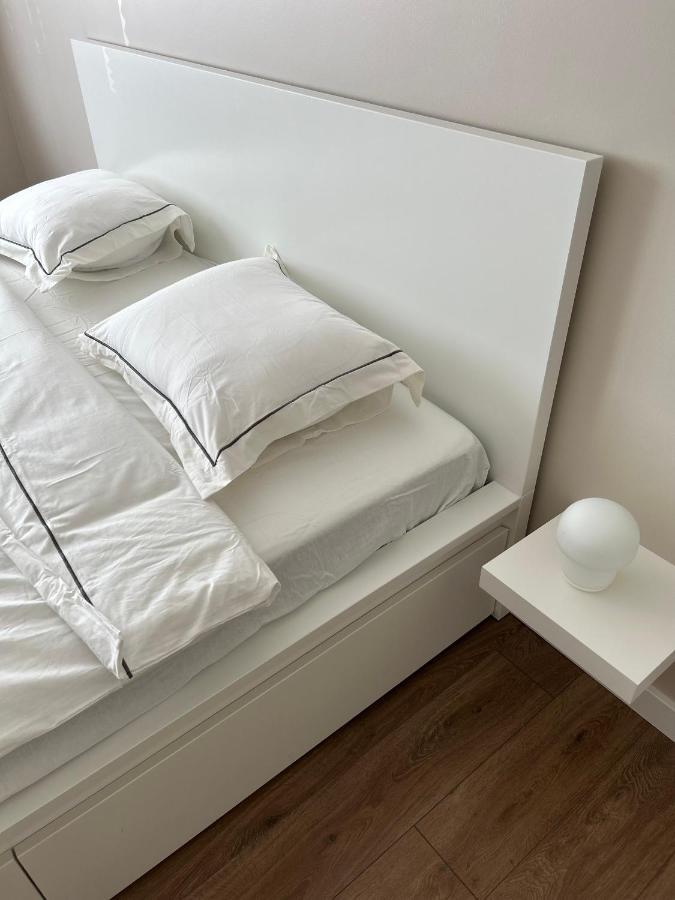 Skandi Appartments In Saldus City Center Esterno foto