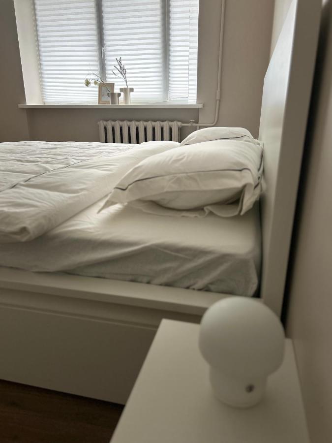 Skandi Appartments In Saldus City Center Esterno foto