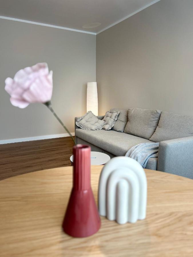 Skandi Appartments In Saldus City Center Esterno foto