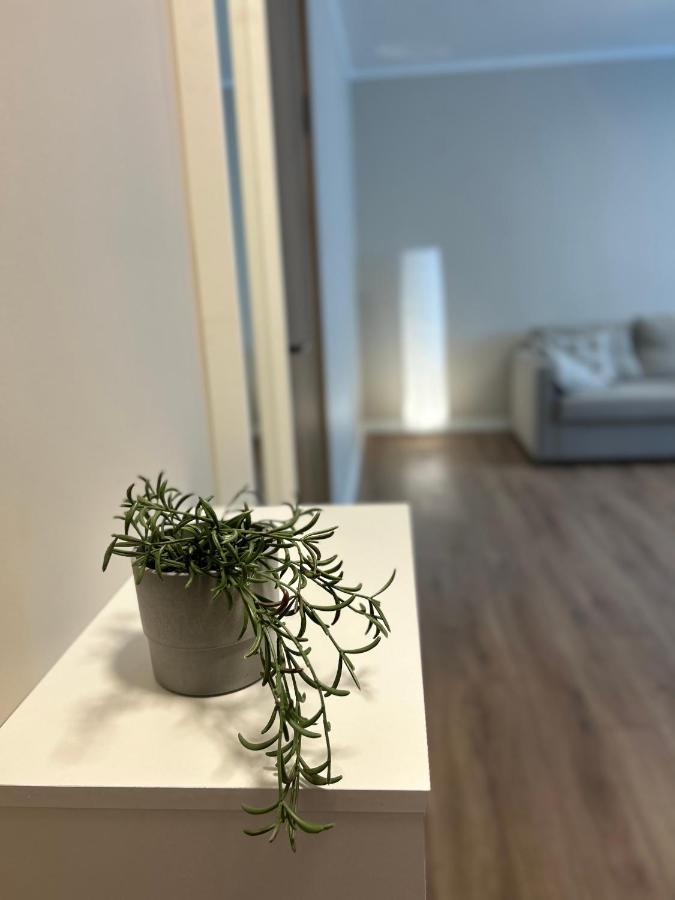 Skandi Appartments In Saldus City Center Esterno foto