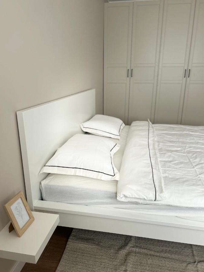 Skandi Appartments In Saldus City Center Esterno foto
