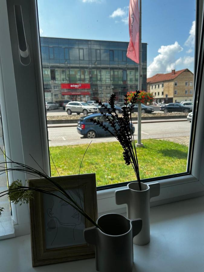 Skandi Appartments In Saldus City Center Esterno foto