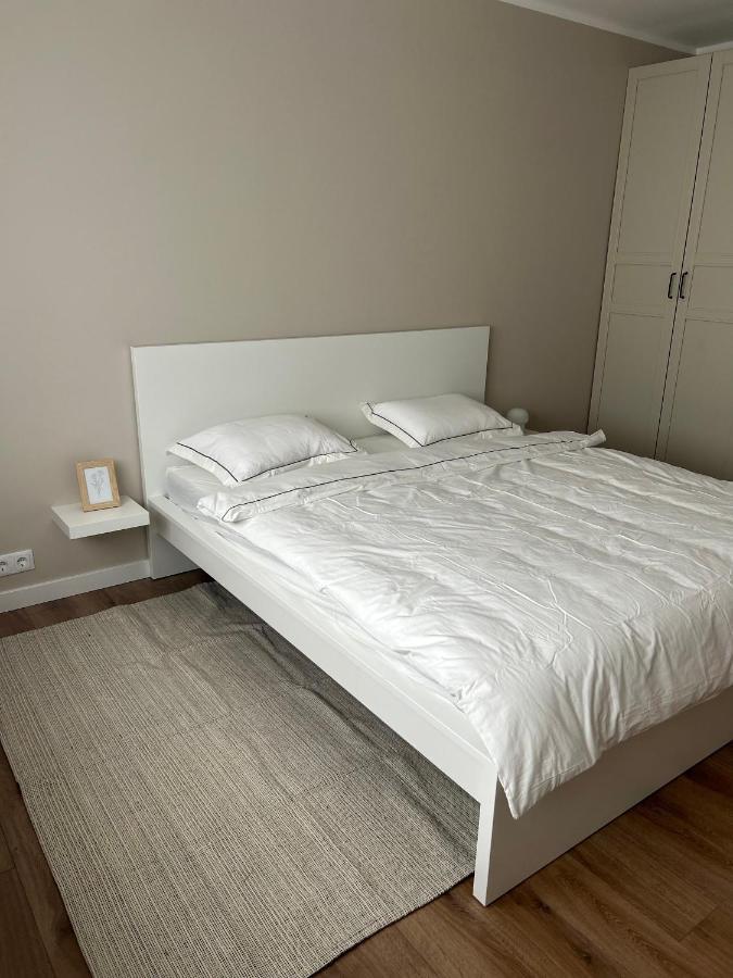 Skandi Appartments In Saldus City Center Esterno foto